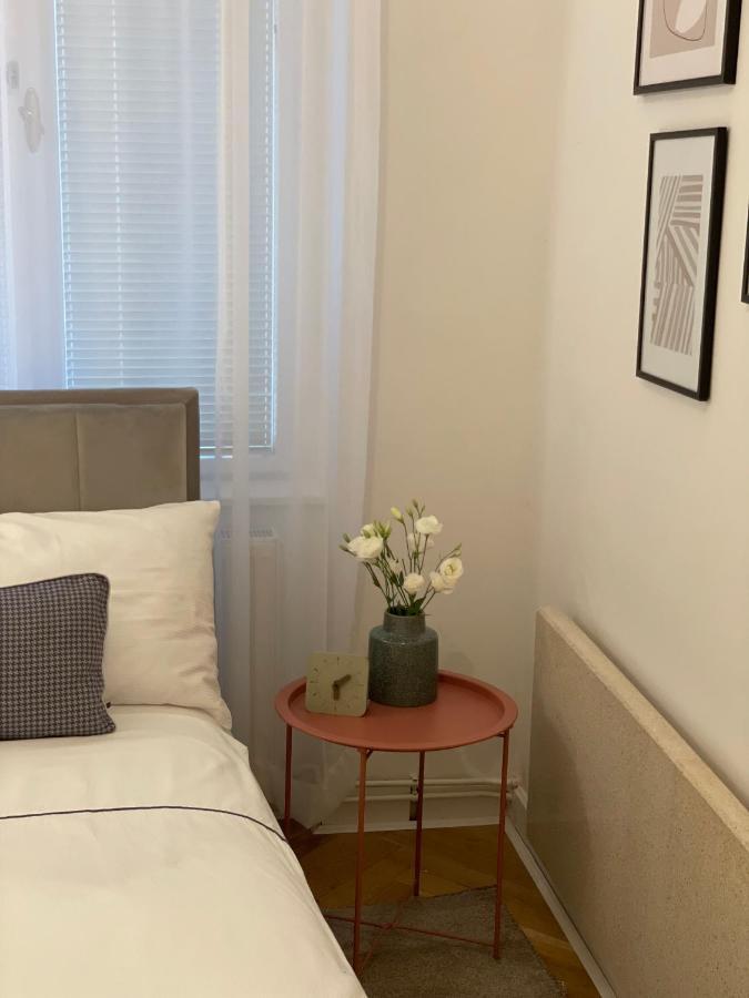 Apartman Vasia スボティツァ エクステリア 写真